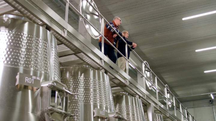 Cave de production de vin Rhône-Alpes