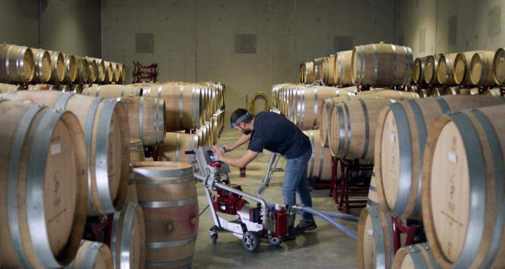 Barriques de vin Rhône-Alpes