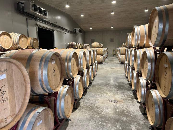 Dégustation de vin Rhône-Alpes