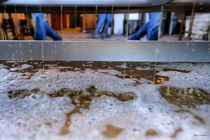 Production de vins Rhône-Alpes