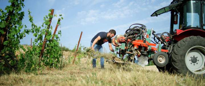 Viticulteur Rhône-Alpes