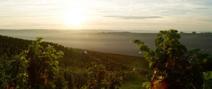 Vignoble Rhône-Alpes